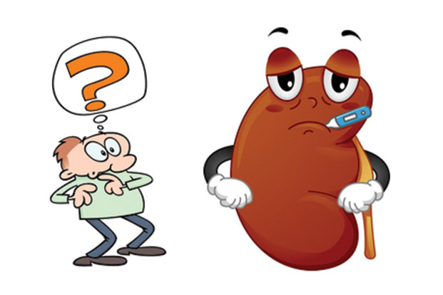 Kidney clipart kidney damage, Kidney kidney damage.