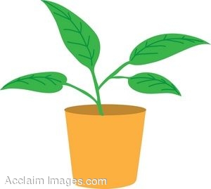 Clip Art House Plant Clipart.