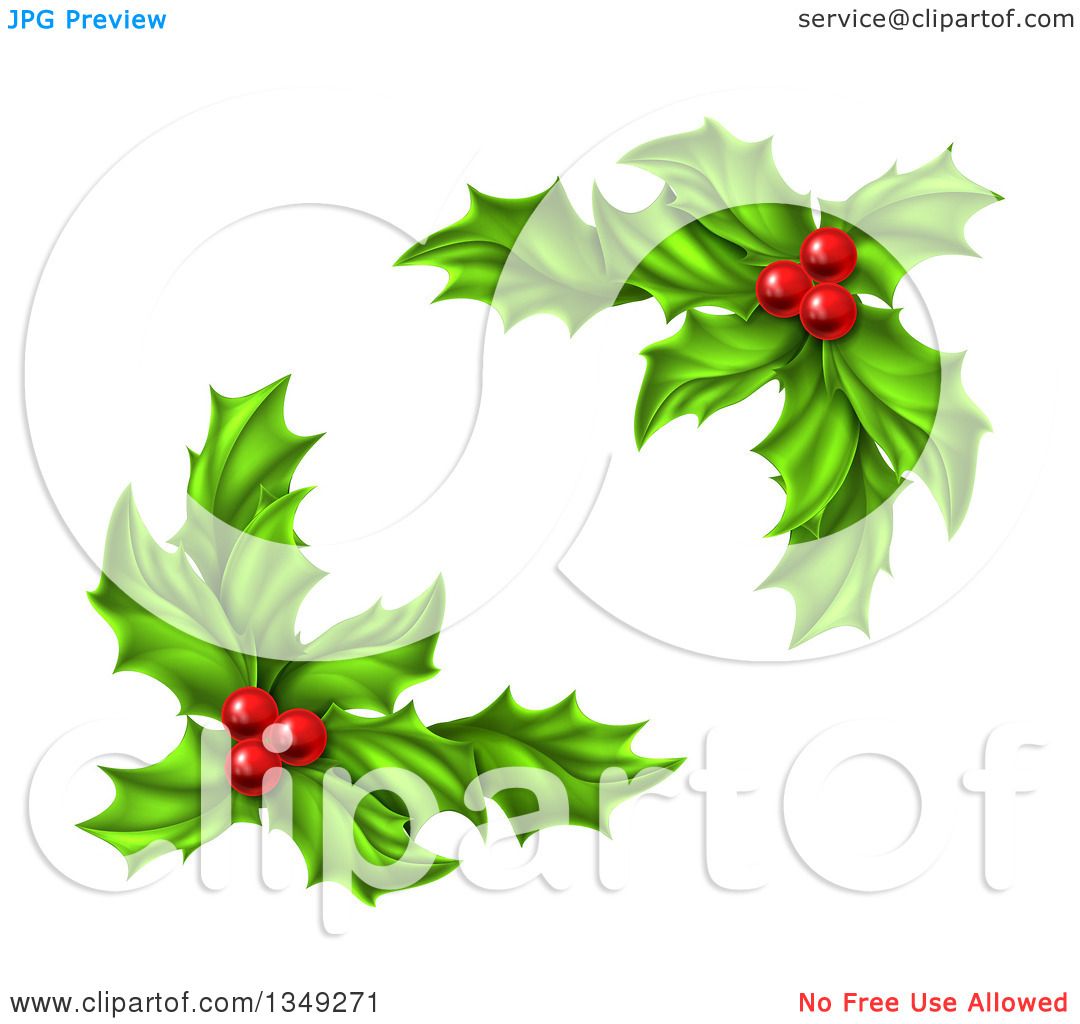 Clipart of Green Holly Leaves and Christmas Berries.