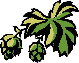 Beer Hops Vine Clipart.