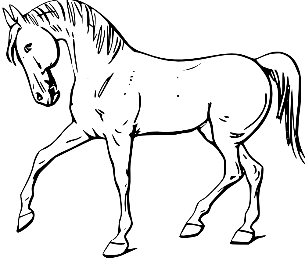 Free Horse Outline Images, Download Free Clip Art, Free Clip Art on.