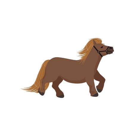 238 Miniature Horse Stock Illustrations, Cliparts And Royalty Free.