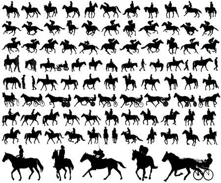 5,243 Horseback Riding Stock Illustrations, Cliparts And Royalty.