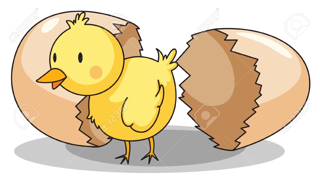 Baby Chicks Hatching Clipart.