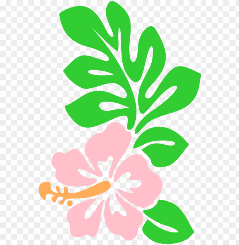 hawaii flower cartoon draw hawaiian flowers icon.