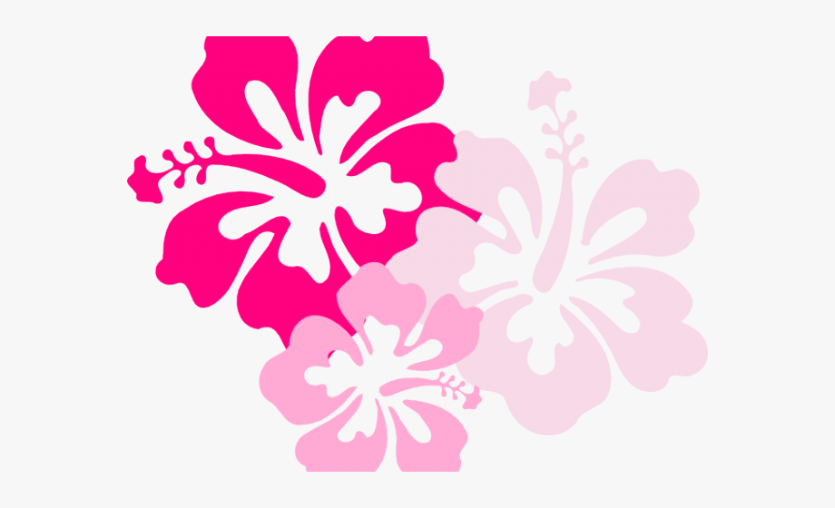 Pink Hawaiian Flower Clipart, Cliparts & Cartoons.