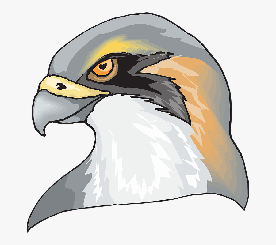 Hawk Head Png , Free Transparent Clipart.