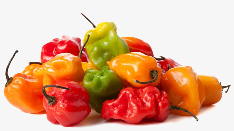 Chile Habanero Transparent PNG.