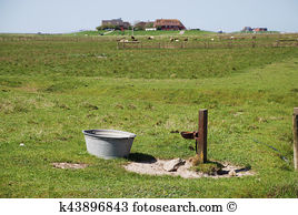 Cordgrass Stock Photo Images. 14 cordgrass royalty free images and.