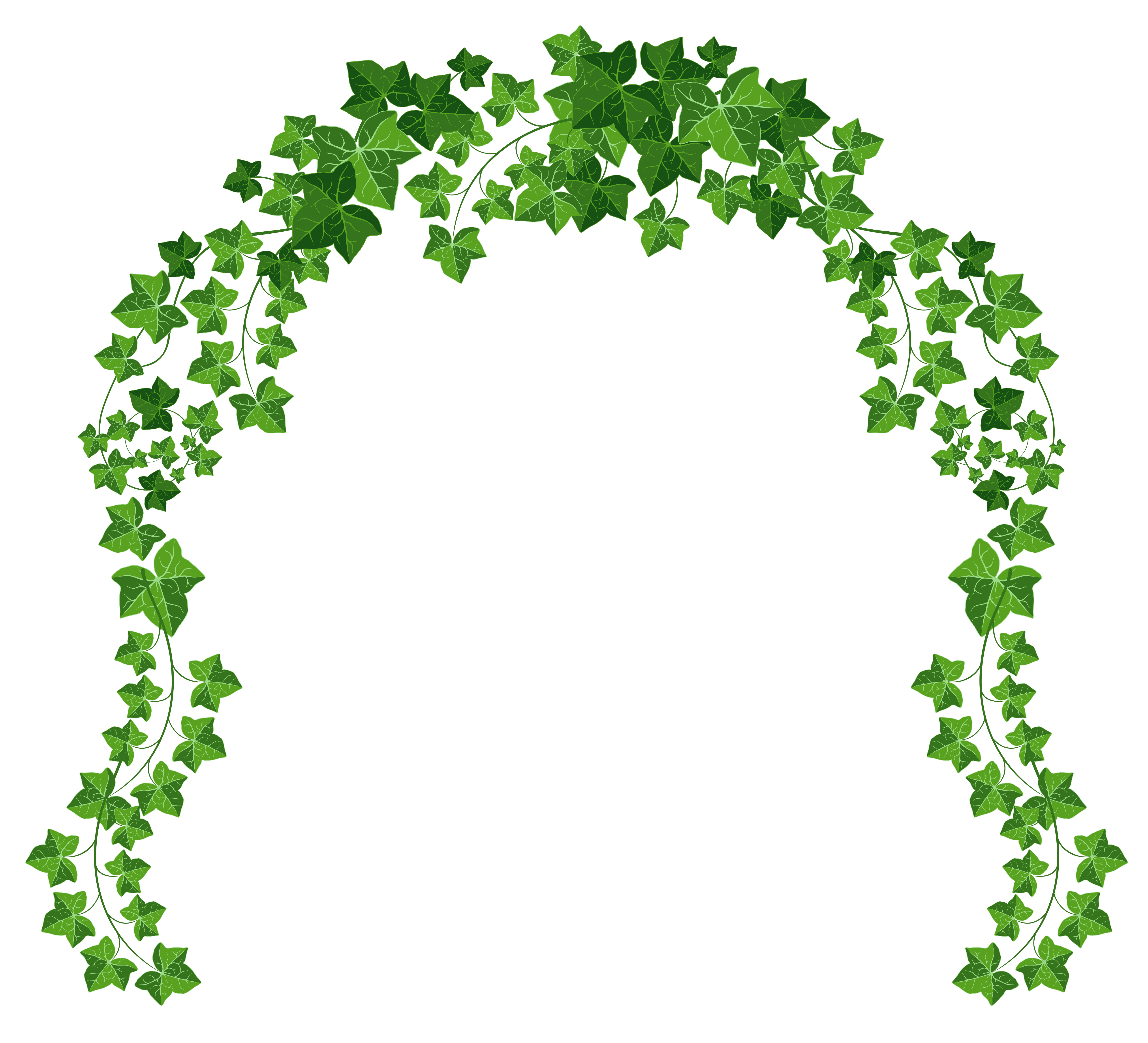 Free Hanging Vines Png, Download Free Clip Art, Free Clip.