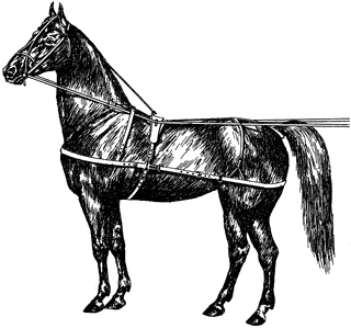 Original Use Horse Harness.