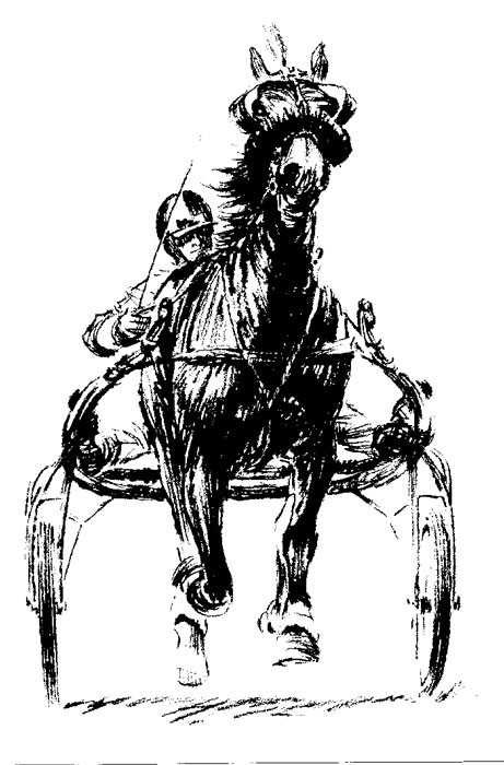 Harness Racing Clip Art Free.