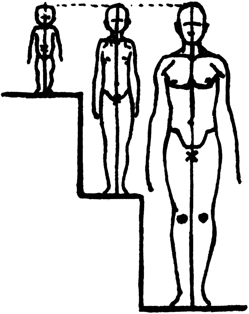 Relation of Head to Height by Age.