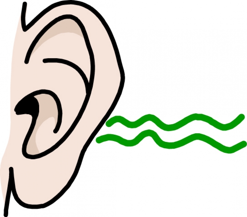 Hearing clipart free.