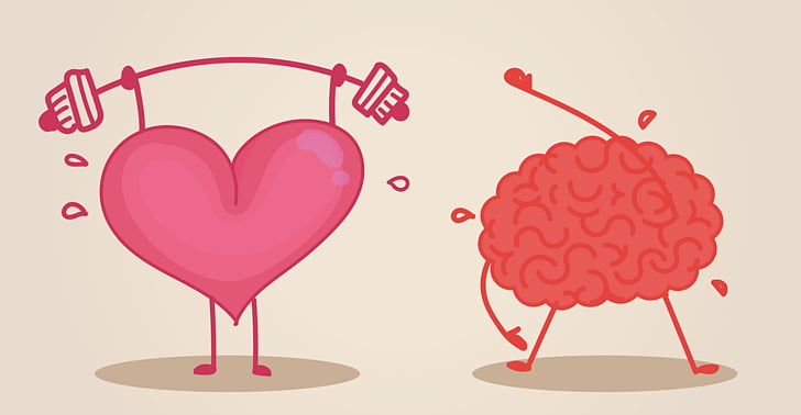 Brain Heart Physical exercise Cognitive training , Strong.