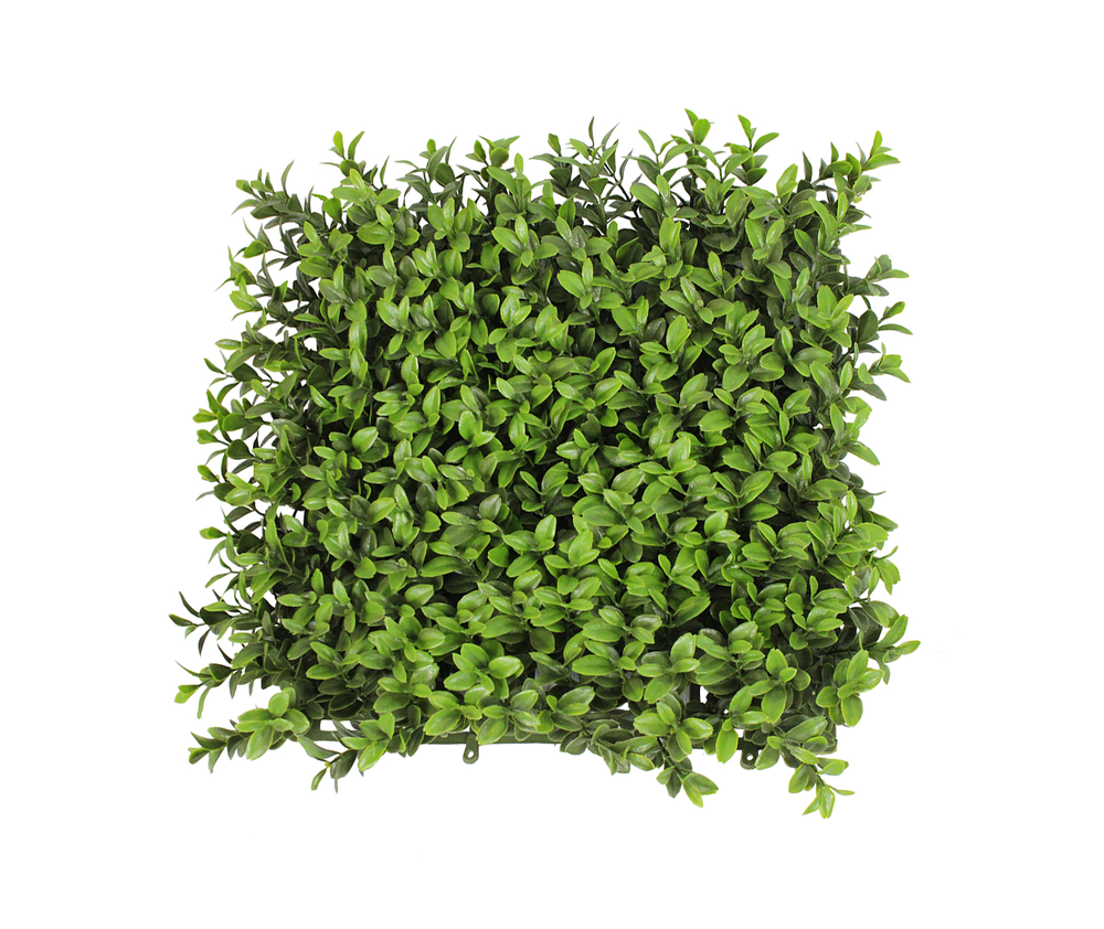 Hedges Transparent PNG Pictures.