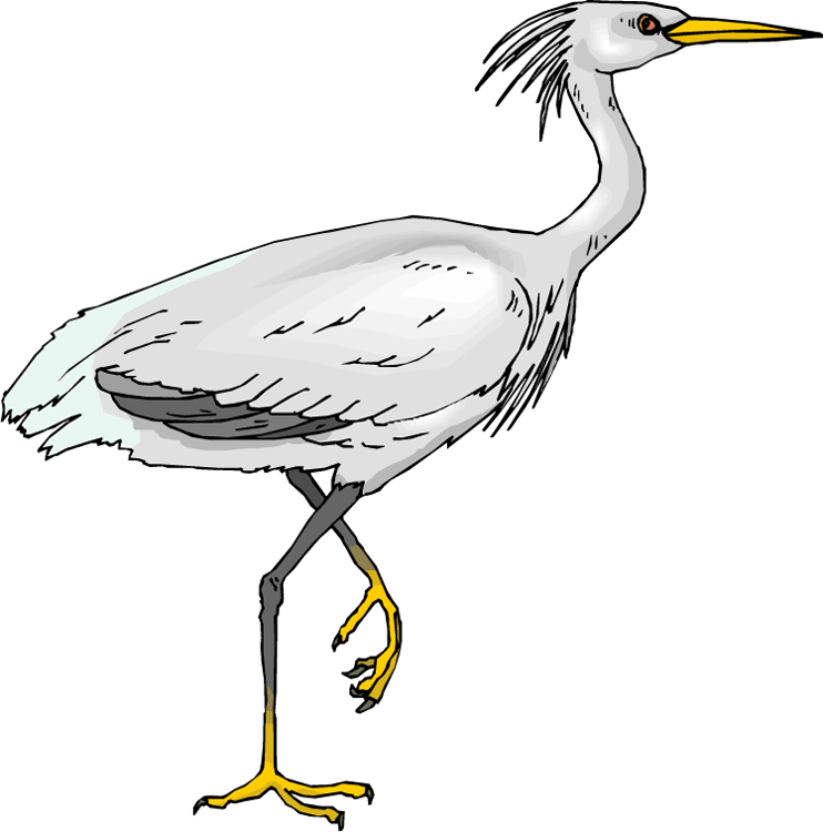 Free Heron Clipart, Download Free Clip Art, Free Clip Art on.