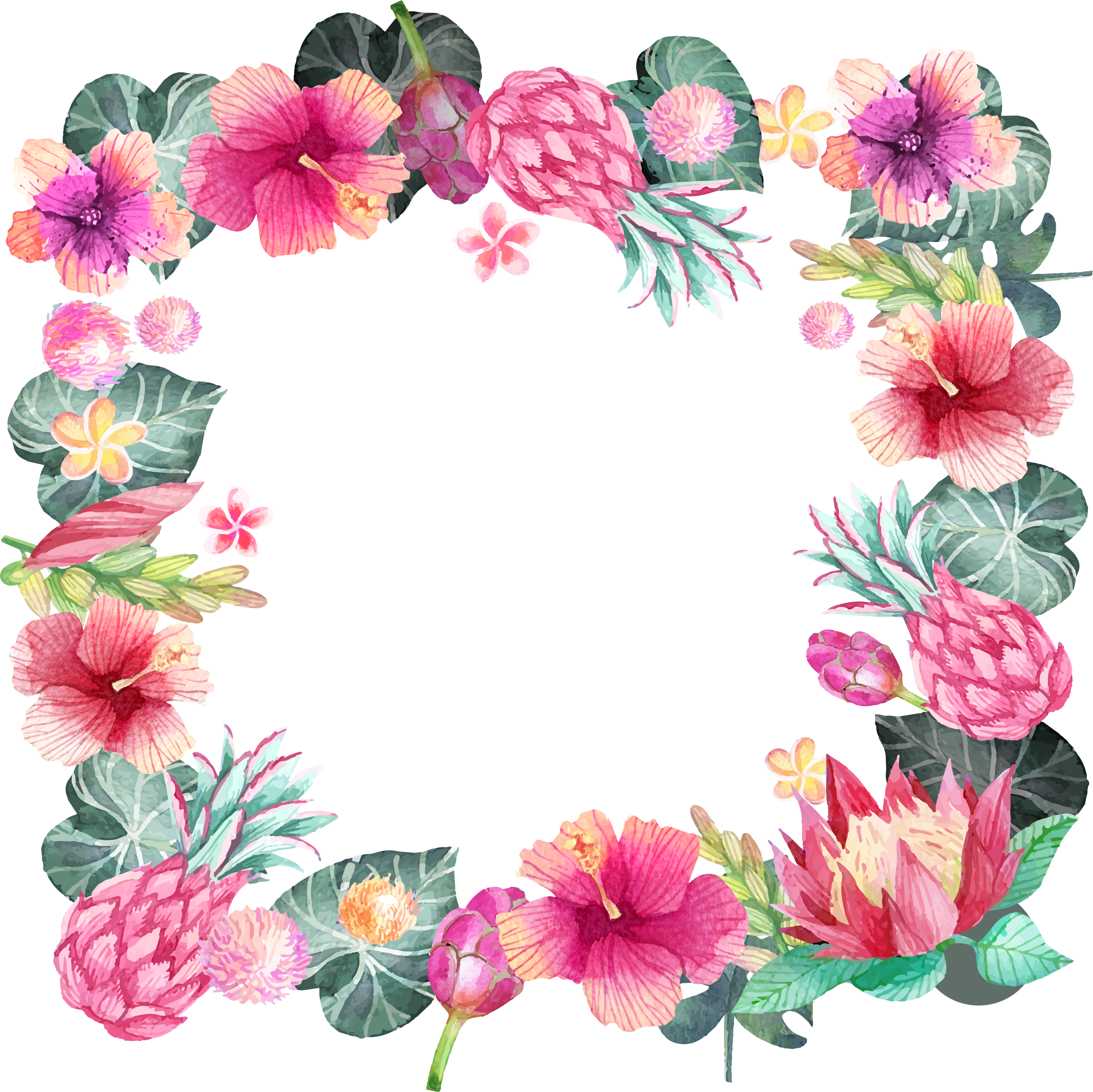 HD Pink Hibiscus Border Png Transparent PNG Image Download.