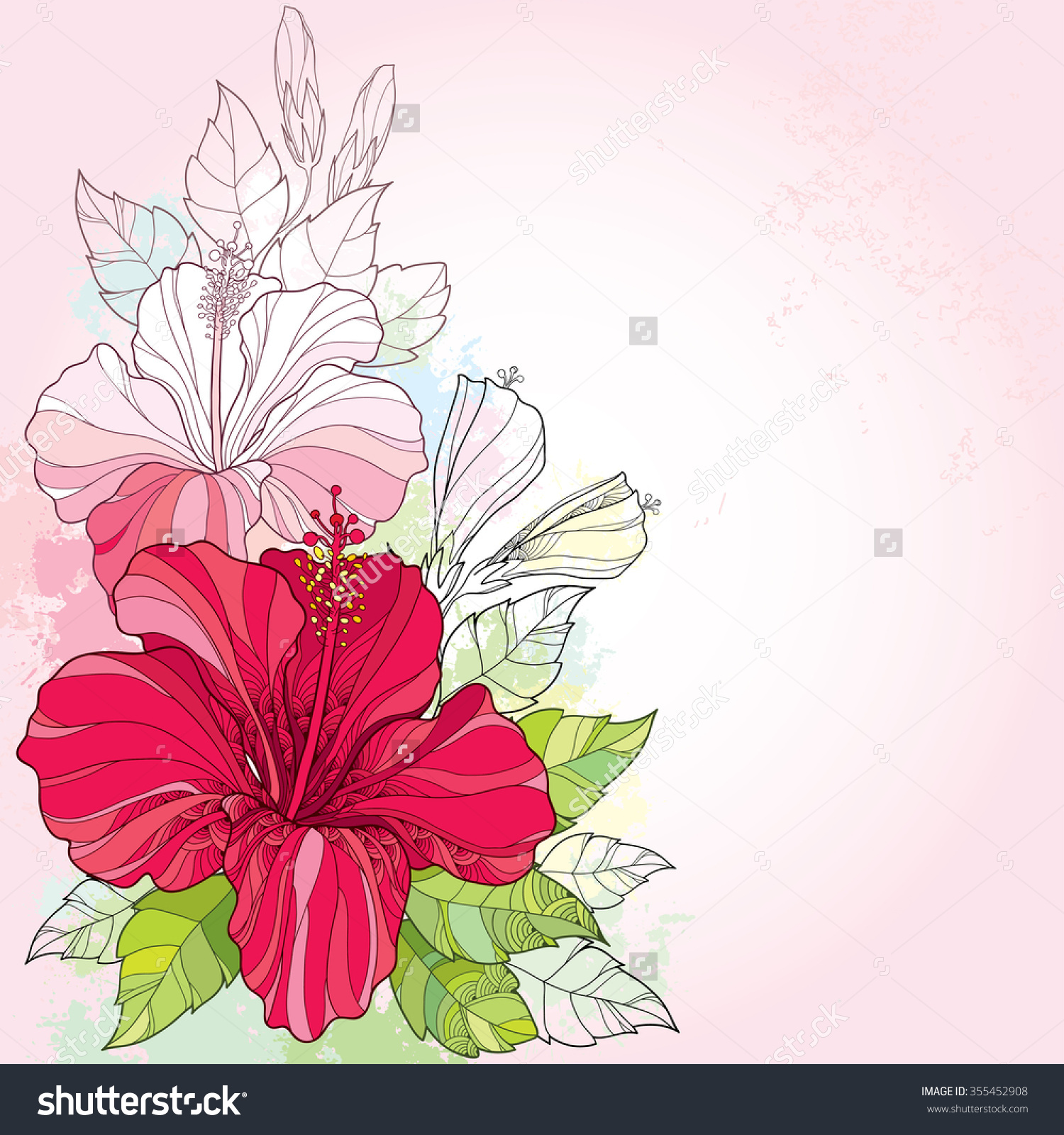 Bouquet Chinese Hibiscus Hibiscus Rosasinensis Leaves Stock Vector.