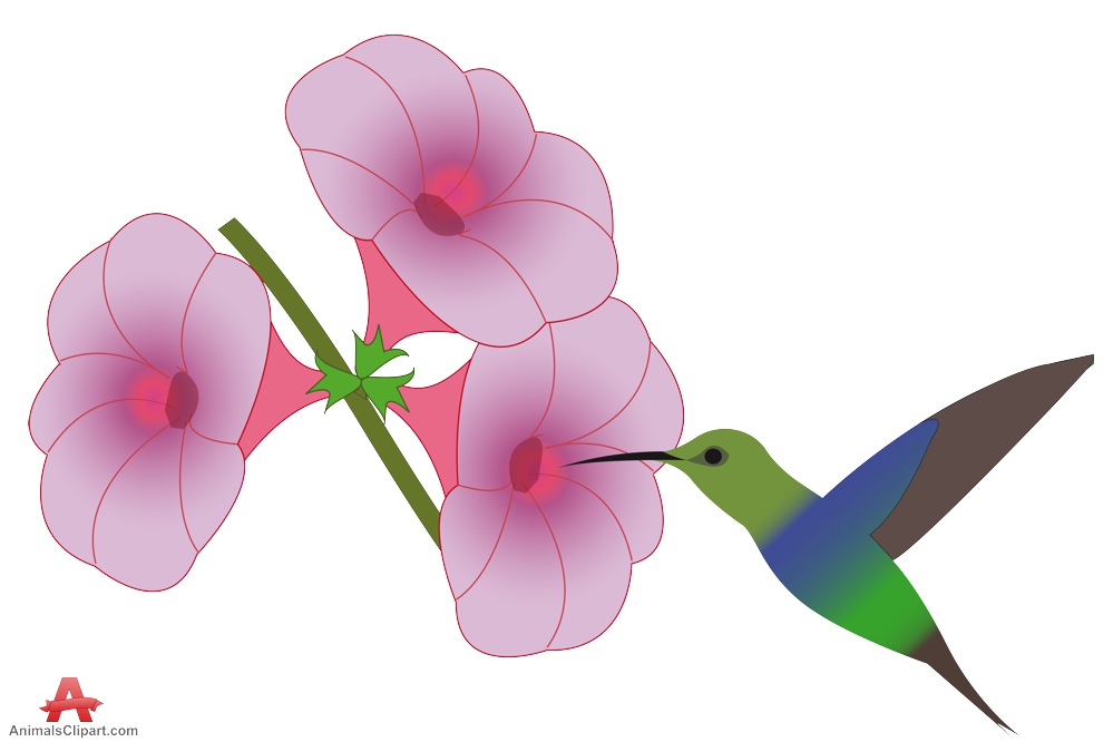 Hummingbirds and flowers clipart.