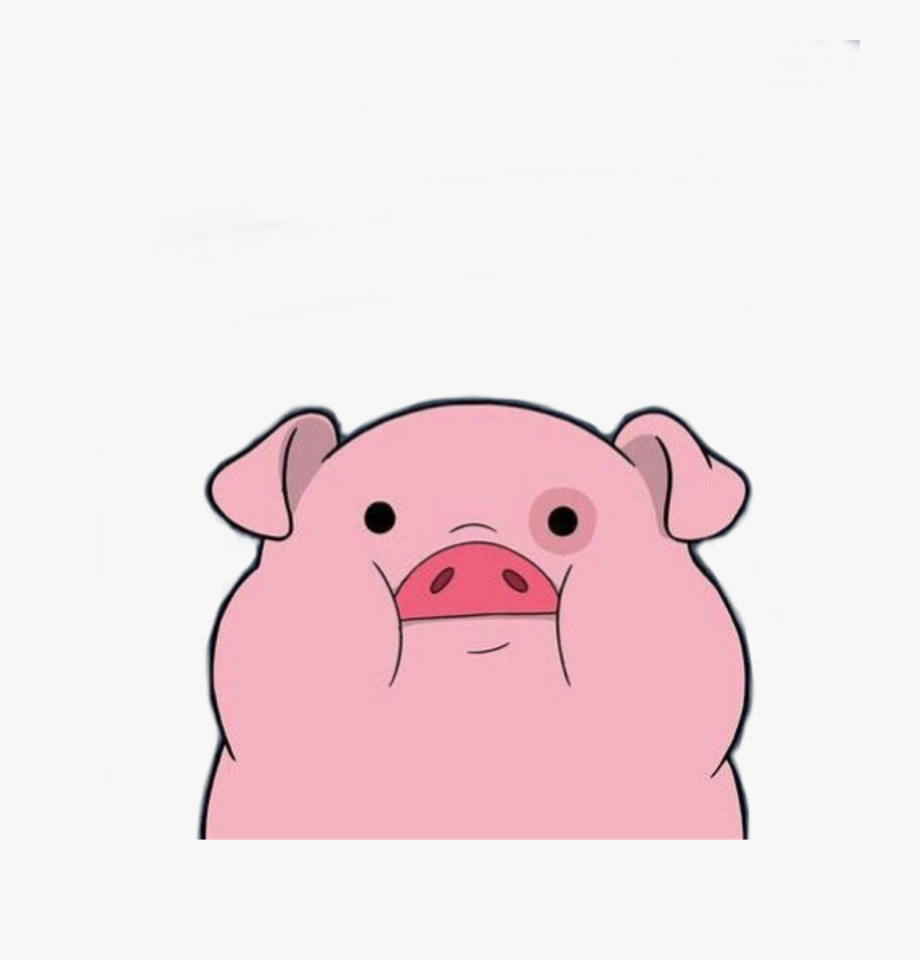 Tumblr Cute Cutepig Reaction.