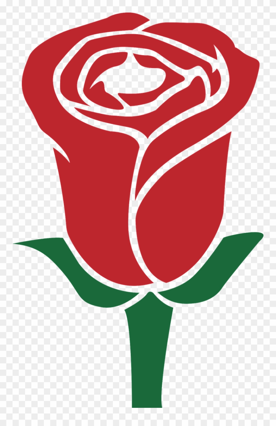 Rosa Dia Das Maes Png Clipart (#1517018).