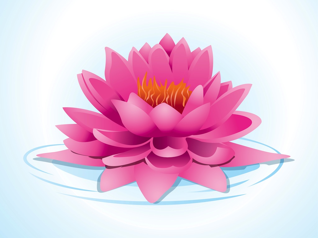 Lotus clipart images.