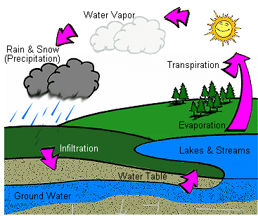 The Water Cycle Clip Art, Water Cycle Free Clipart.