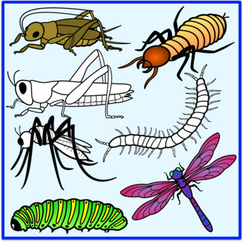 Insects Clipart.