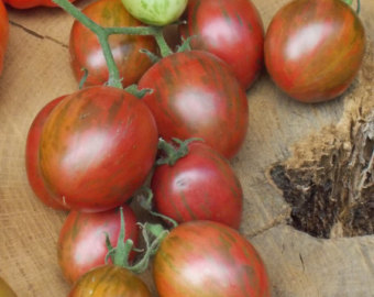 Yellow Icicle Roma Tomato Seeds Yellow tomatoes organic.