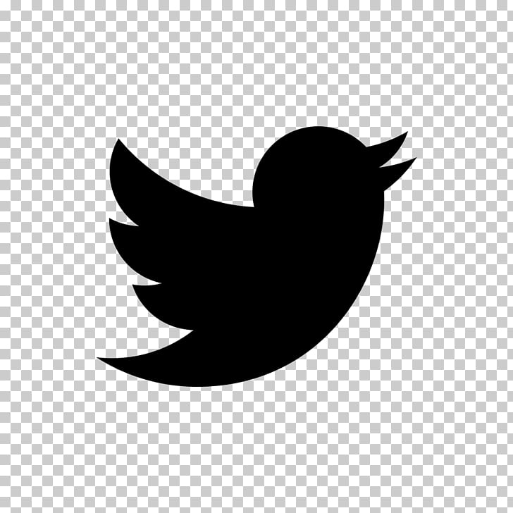 Escritorio de iconos de computadora, logo de twitter negro.