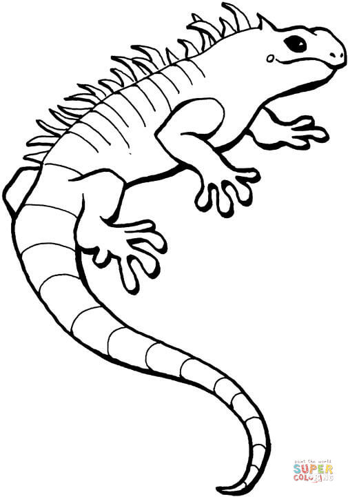 Iguana clipart black and white 6 » Clipart Station.