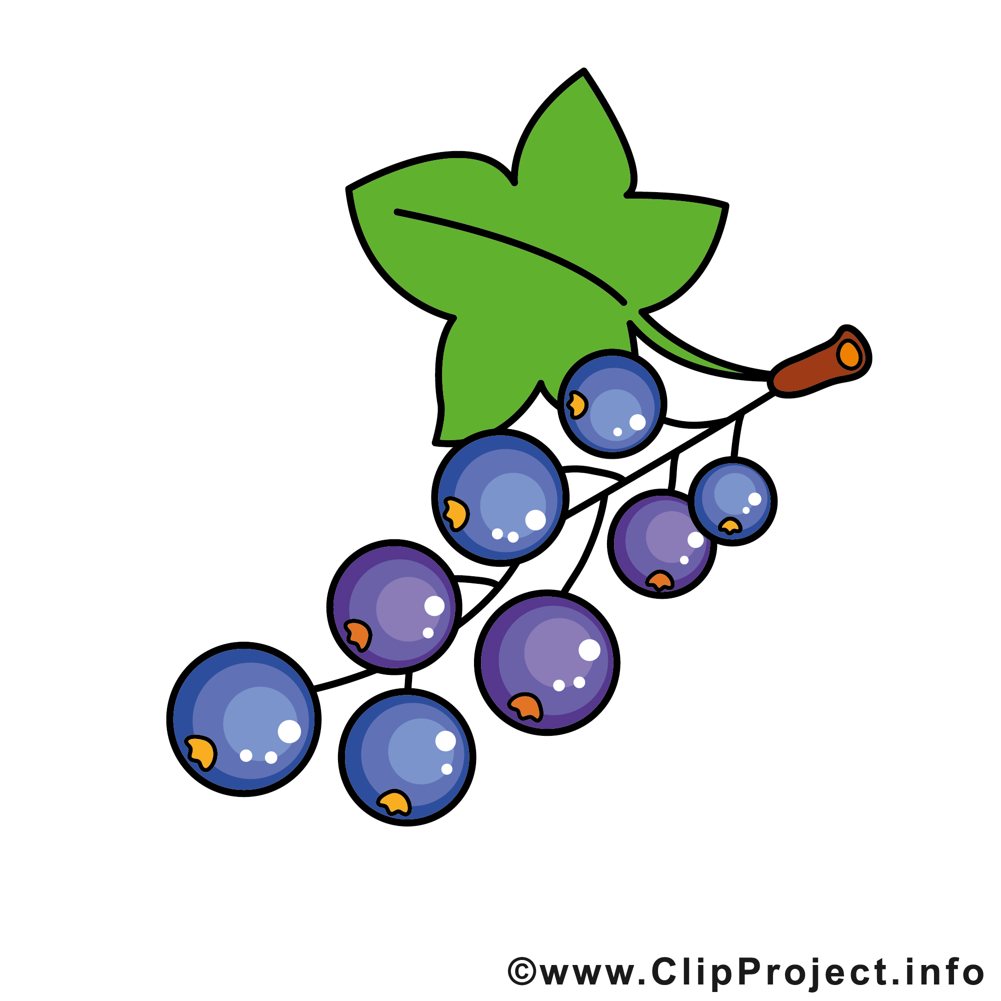 Johannisbeeren Clipart.