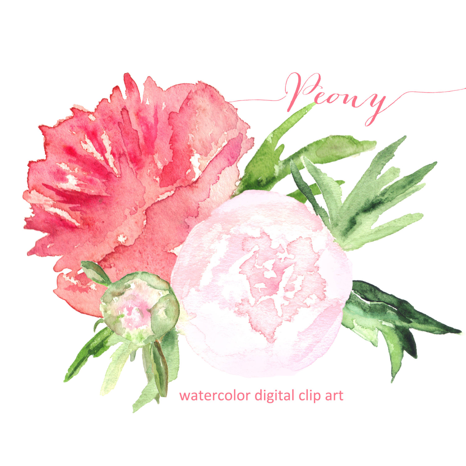 Peony logo.