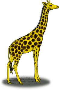 Giraffe Clip Art at Clker.com.