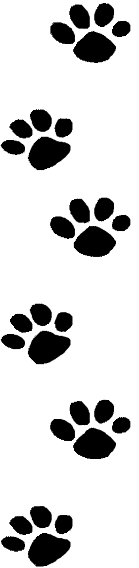 Pawprint clipart jpeg, Pawprint jpeg Transparent FREE for.