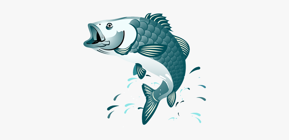 Fish Png Jumping.