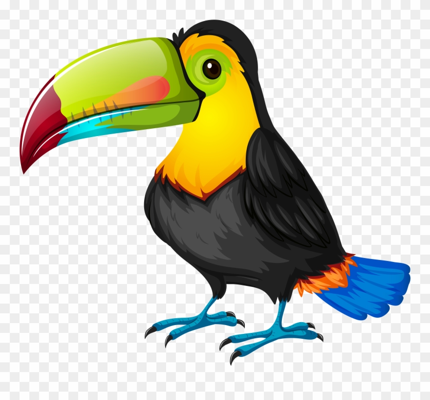 Toucan Clipart 1 Clip Art Bird.