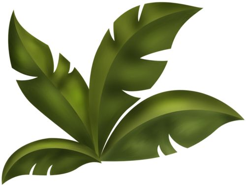 Jungle Leaves Clipart.