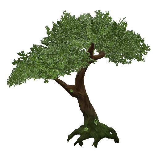 Download Jungle Tree PNG Transparent.