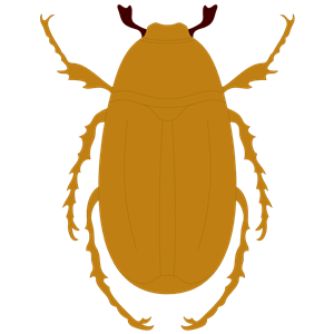 JUNEBUG clipart, cliparts of JUNEBUG free download (wmf, eps.