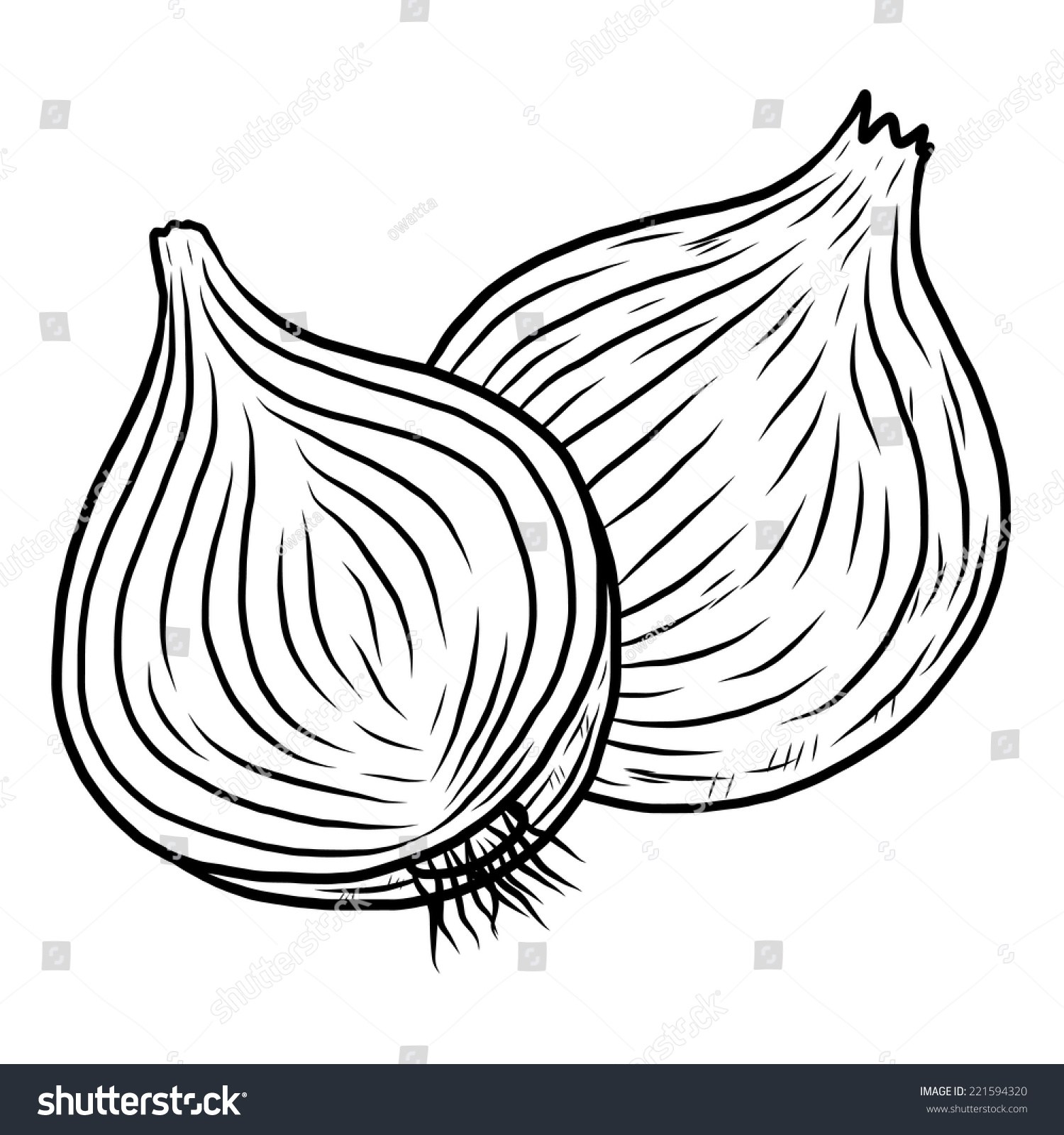 Onion black and white clipart 4 » Clipart Portal.