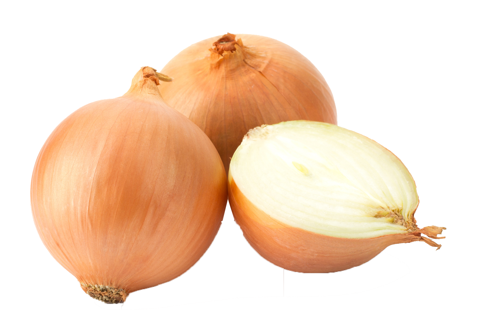 Onion PNG HD Background.