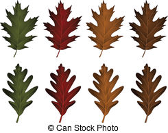 Oak leaf Clip Art and Stock Illustrations. 10,945 Oak leaf EPS.