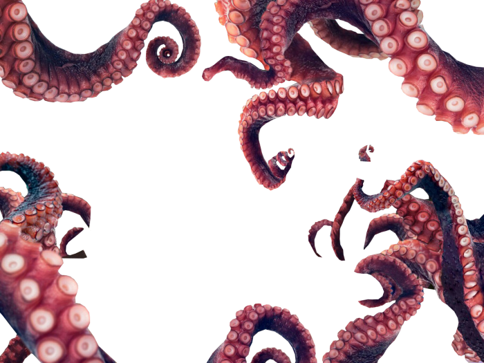 Octopus Tentacles Octopus Tentacles Png Gif.