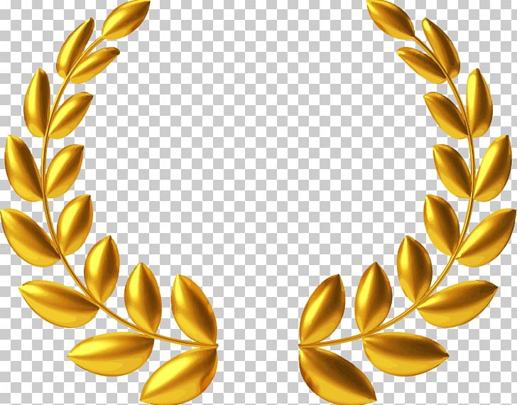 Laurel Wreath Gold Medal PNG, Clipart, Award, Bay Laurel.