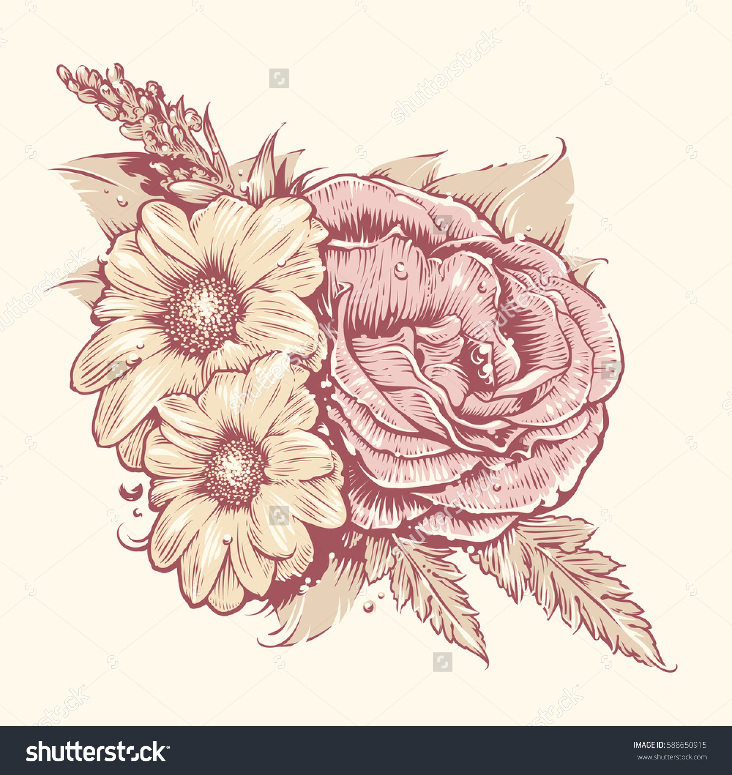 Vector Flowers Rose Chamomile Leafs Old Stock Vector 588650915.