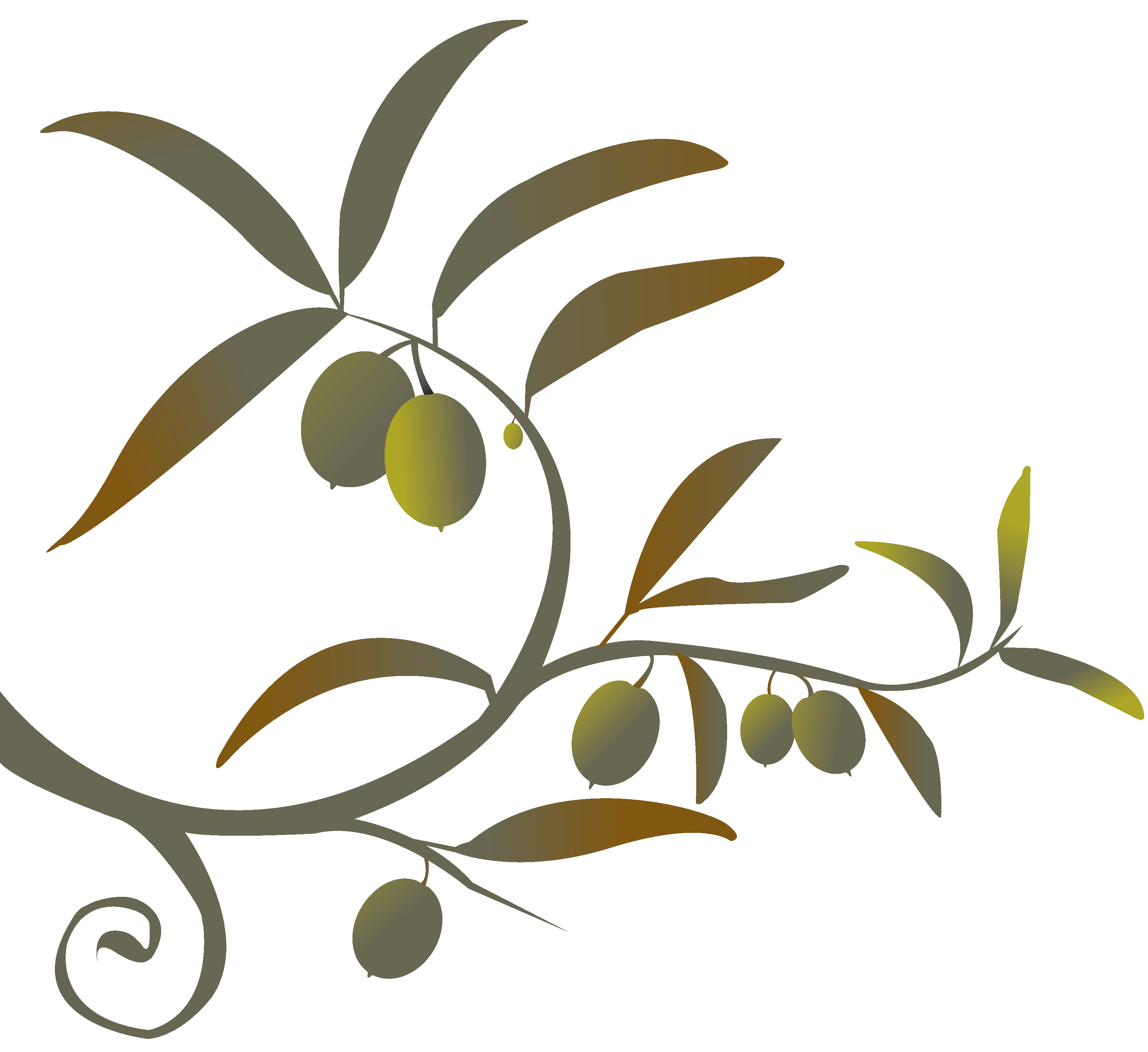 Image of Olive Tree Clipart #2130, Olive Tree Branch Clip.