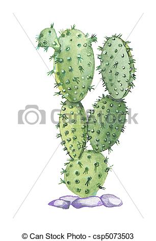 Opuntia Stock Illustration Images. 80 Opuntia illustrations.