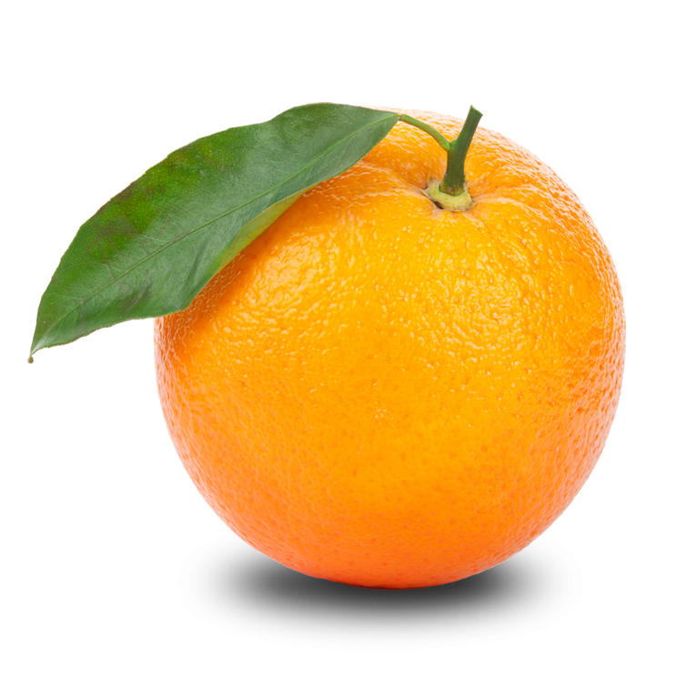 Free Orange PNG Transparent Images, Download Free Clip Art.